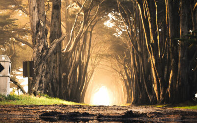 Top 30 des meilleurs jeux de société d’aventure